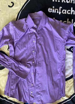 Сорочки zara