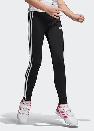 Легінси training equipment 3-stripes 5