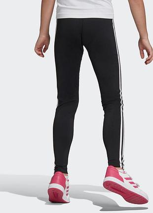 Легінси training equipment 3-stripes 4