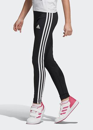 Легінси training equipment 3-stripes 3