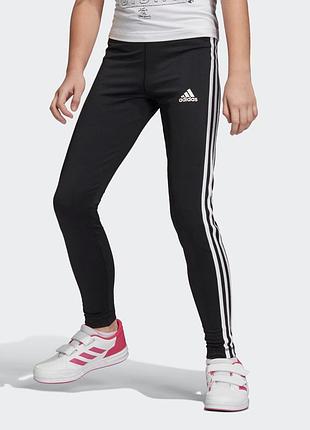 Легінси training equipment 3-stripes 2