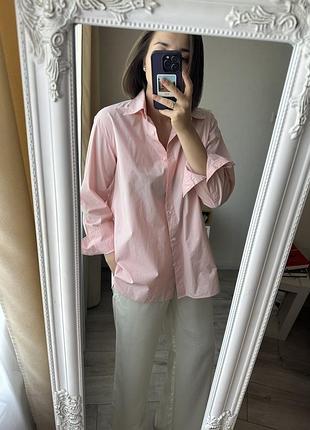 Сорочка uniqlo, бавовняна сорочка