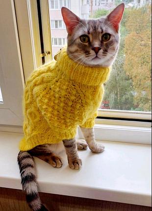 Яскравий светр для кота чи собаки