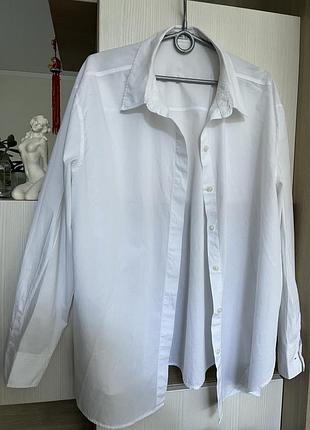 Жіноча біла класична сорочка bershka m/xl хлопкова базова біла унісекс сорочка