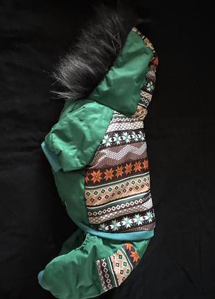 Комбенизон для маленьких собак утеплённый одежда