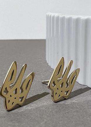 Сережки золоті (медичний сплав)