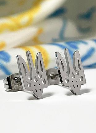 Сережки серебристі (медичний сплав)