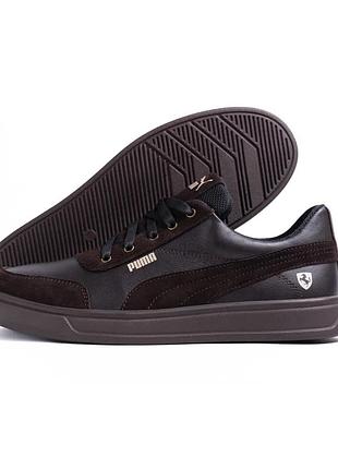 Чоловічі шкіряні кросівки puma brown vector