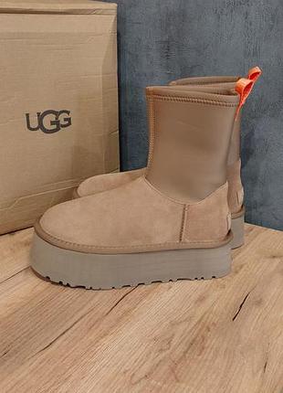 Уггі жіночі/чоботи ugg/угги женские/ натуральна замша та овчина!