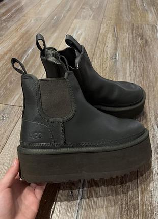 Оригінальні шкіряні ugg