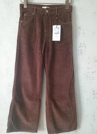 Велюрові дитячі штани zara