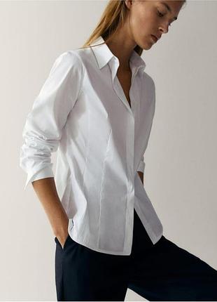 Базова біла сорочка massimo dutti