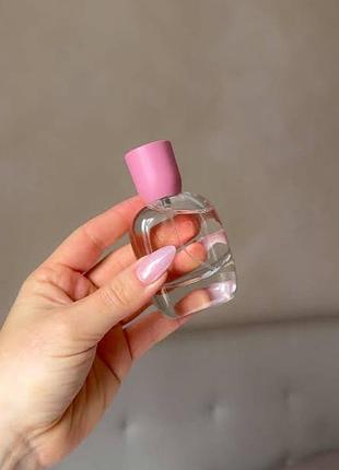 Orchid zara