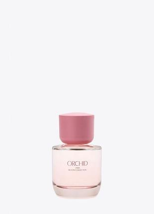Orchid zara 50 ml