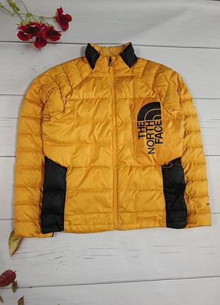 Рідкісній преміальний пуховик мікропуховик чоловічий the north face 550 down (оригінал)