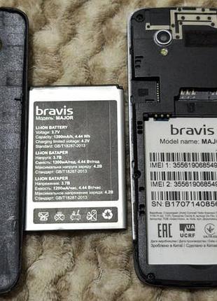 Bravis major 5