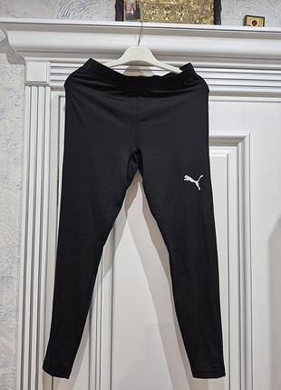 Спортивні лосіни puma