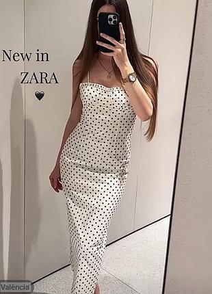 Zara -50% 💛 сукня біла в горохи s, m, l