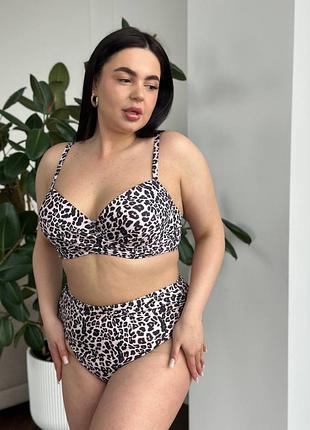 Жіночий роздільний леопардовий купальник plus size з поролоновою чашкою