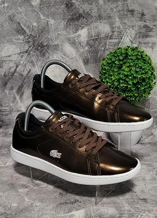 Жіночі кеди lacoste carnaby evo, 39/24,5 см