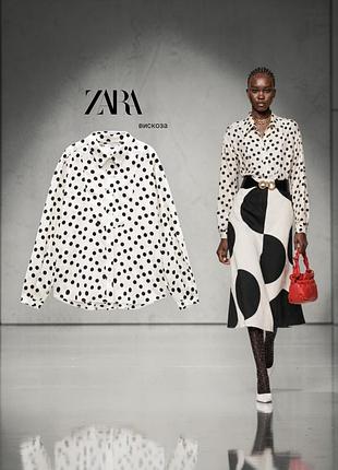 Zara нова блуза в горох (лімітована колекція)
