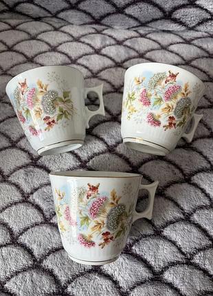 Антикварні німецьки чашки striegauer porcelain manufacture (st. p. m.)