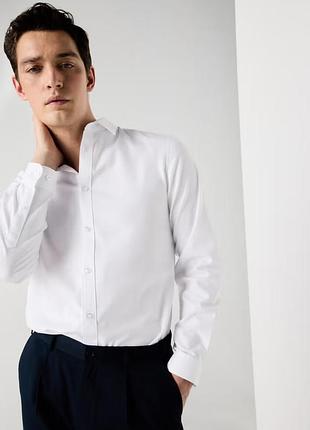 Taylor wright мужская рубашка белая под костюм пиджак базовая размер xs s 37 slim fit