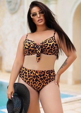 Роздільний леопардовий купальник plus size з твердими чашками