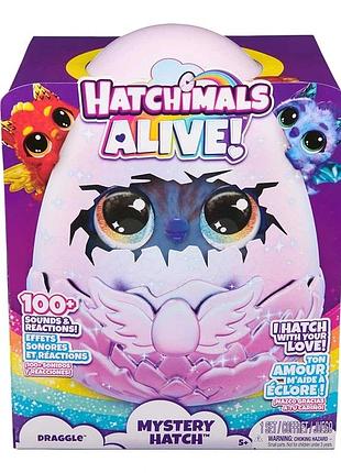 Hatchimals: інтерактивний драко в яйці (в асортименті)