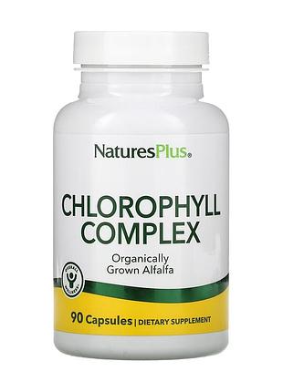 Chlorophyll 600mg - 90 vcaps