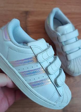 Оригинальные adidas superstar p29 длина стельки по факту 19см