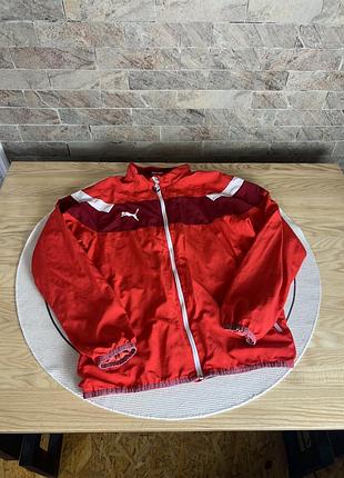 Вітрівка puma