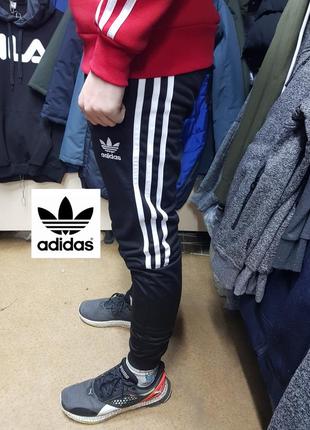 Штани спортивні штани adidas трикотаж "лакоста" завужені на манжеті штани6 фото