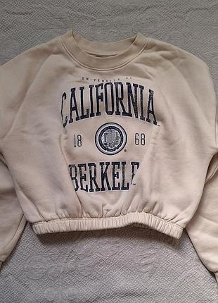 Укорочений бежевий свитшот california berkeley / кроп-свитшот