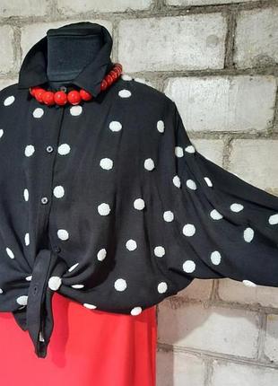 Стильна блуза кажан в горохи zara