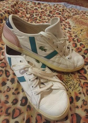 Кросівки жіночі lacoste білі, розмір 38