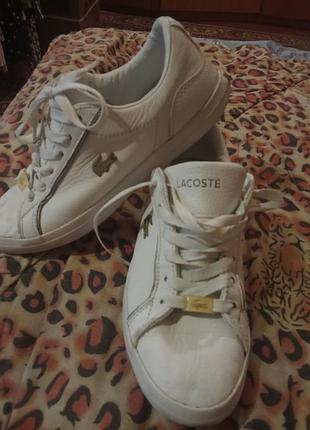 Кросівки жіночі lacoste білі, розмір 38