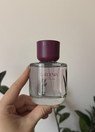 Жіночий парфум gardenia від zara 100 ml