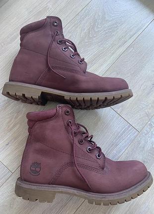Черевики timberland жіночі eu 39
