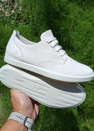 Женские кожаные белые легкие, мягкие кеды ecco leisure, 37р.