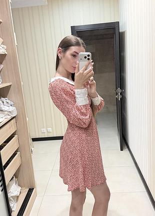 Сукня staff 5