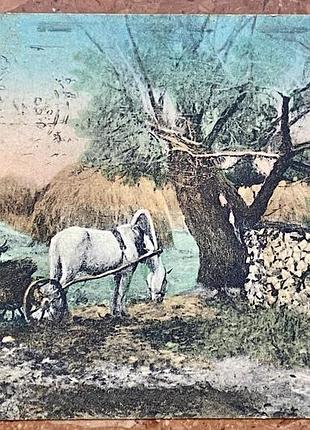 Стара листівка 1917 р