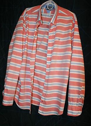 Оригінальна чоловіча сорочка tommy hilfiger в смужку (розмір xxl)