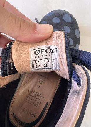 Черевики осінь geox 3