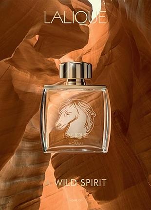 Lalique equus pour homme, туалетна вода