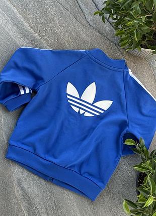 Кофта adidas 2