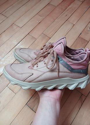 Шкіряні кросівки ecco mx