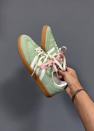 Adidas samba | sage green / double laces