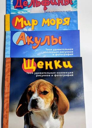 Большие раскраски-постеры (4 книги) 325х235. серия «мои любимые животные»