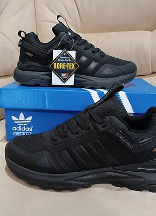 Мужские кроссовки adidas terrex ax4 gore-tex